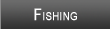 Lake Spring Fishing